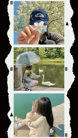 16Pic Clip Aesthetic