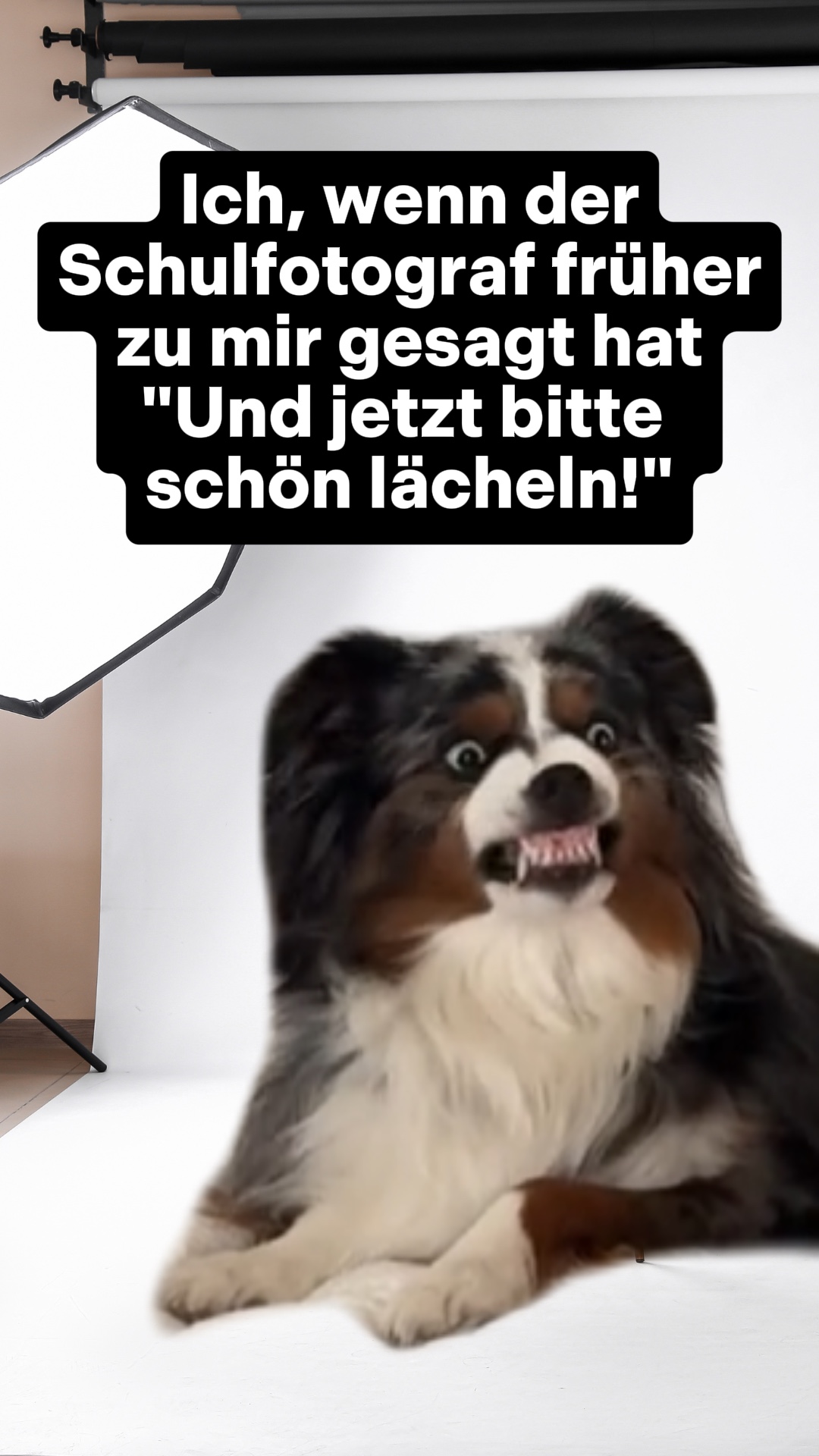 Meme ng Zähne zeigen 😬
