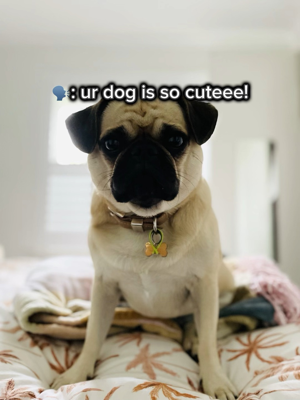 Sie ist meine beste Freundin