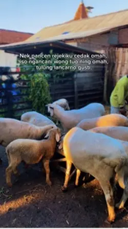 Cedak wong tuo
