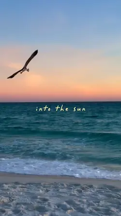 into the sun