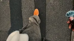 Walk strut 