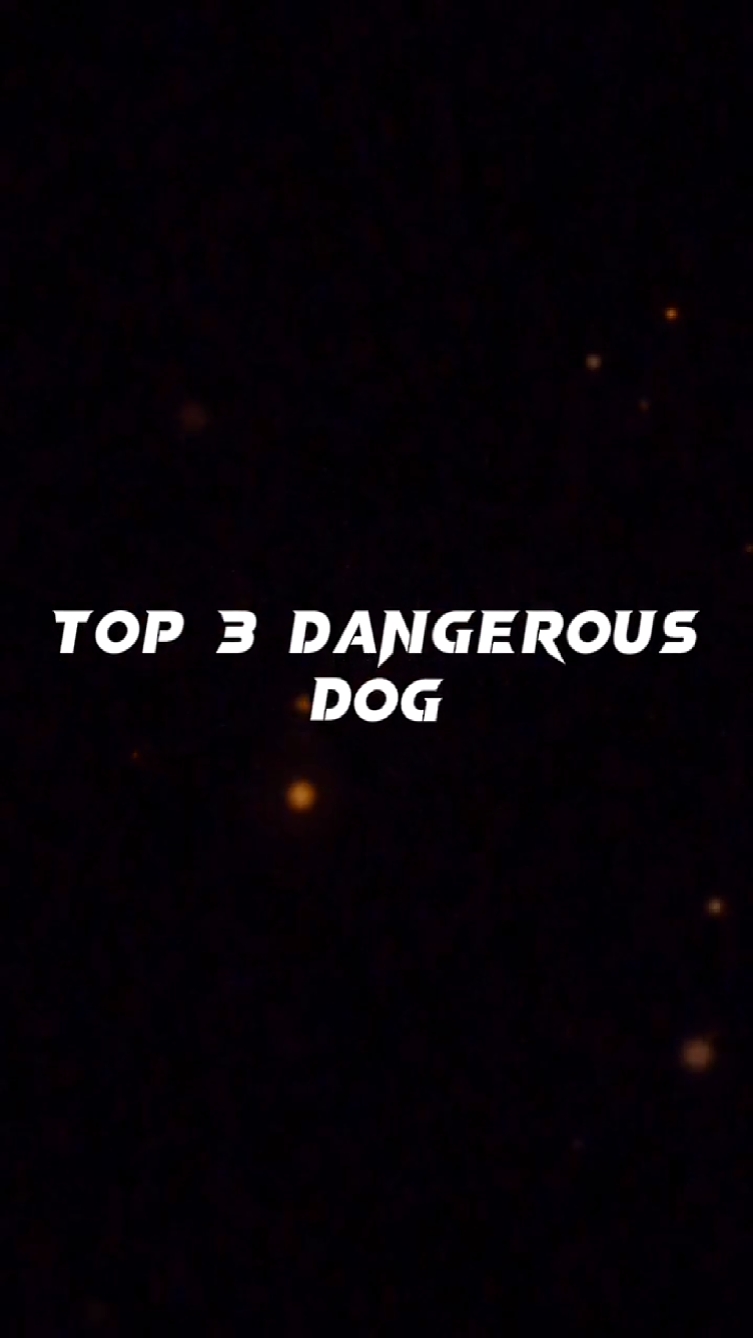 Top 3 Dangerous Dog 
