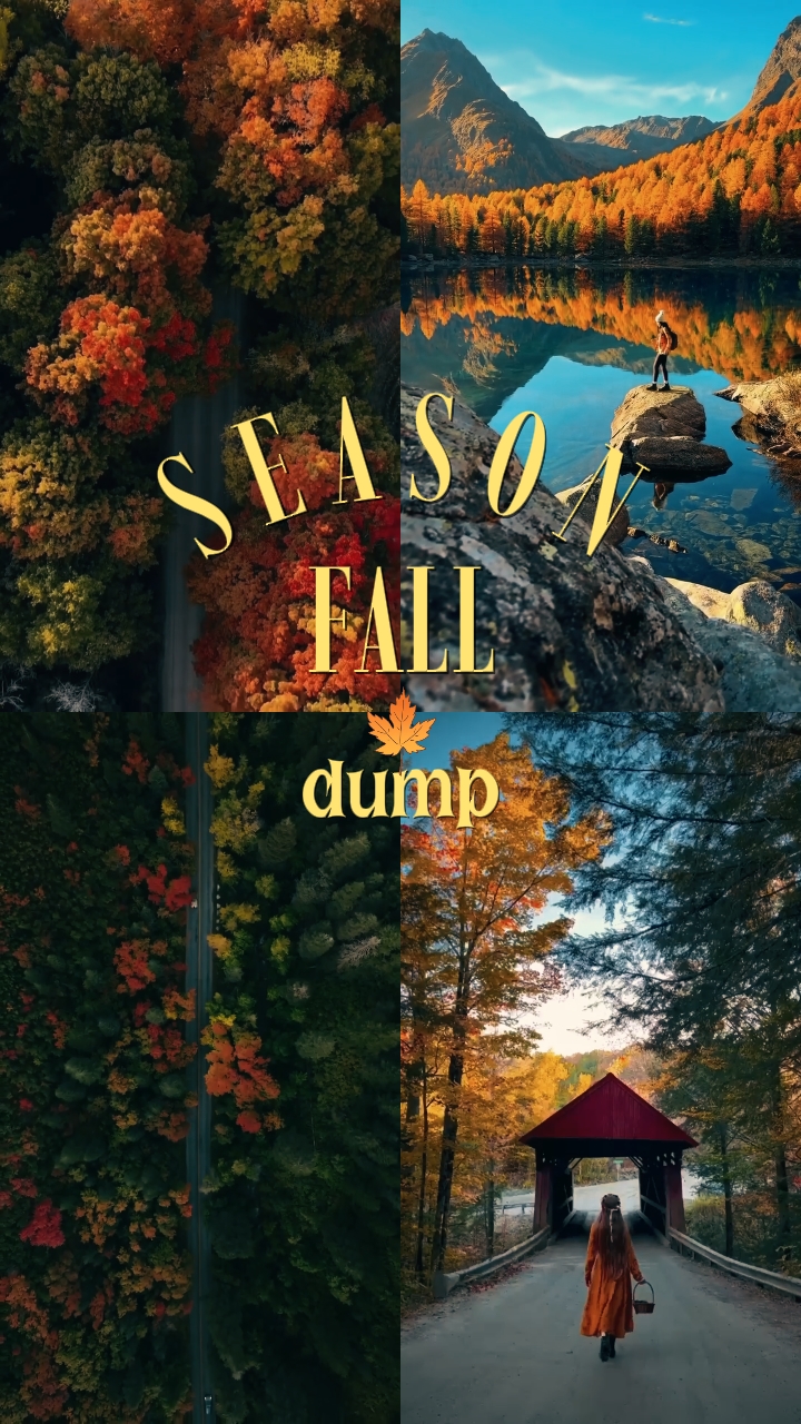 Fall Season Dump 
