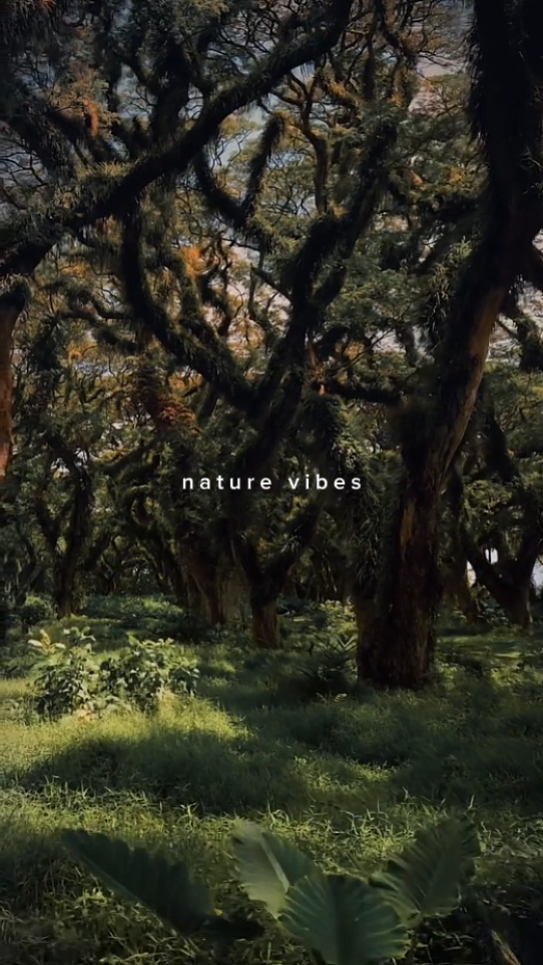 Naturaleza