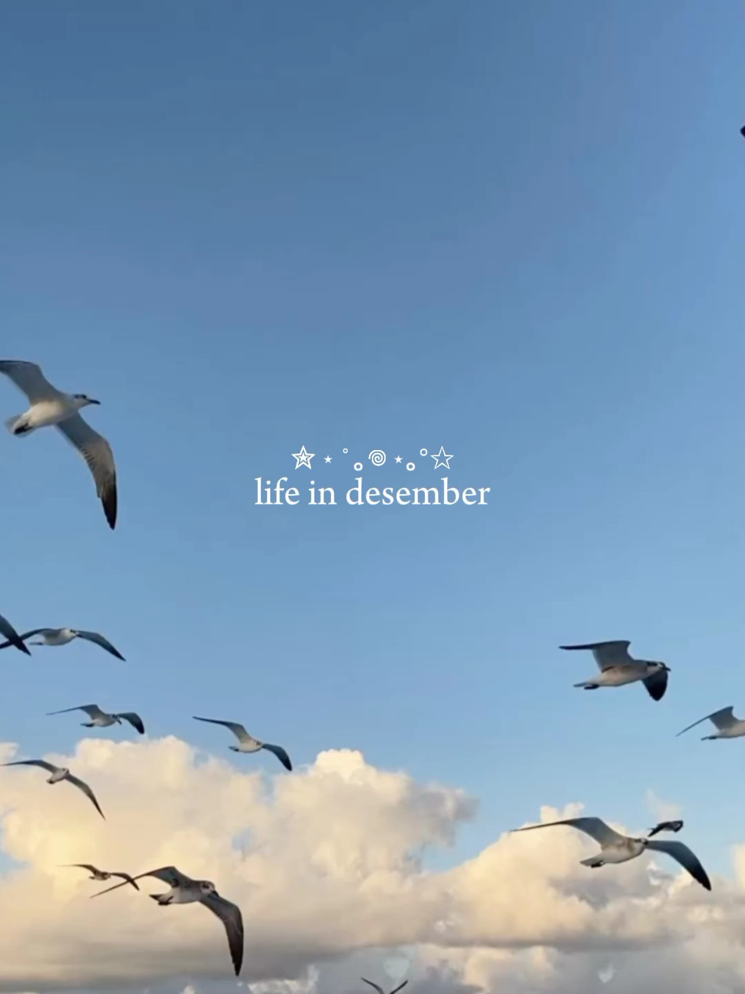 La vida en diciembre