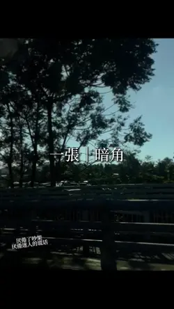 一張|暗角