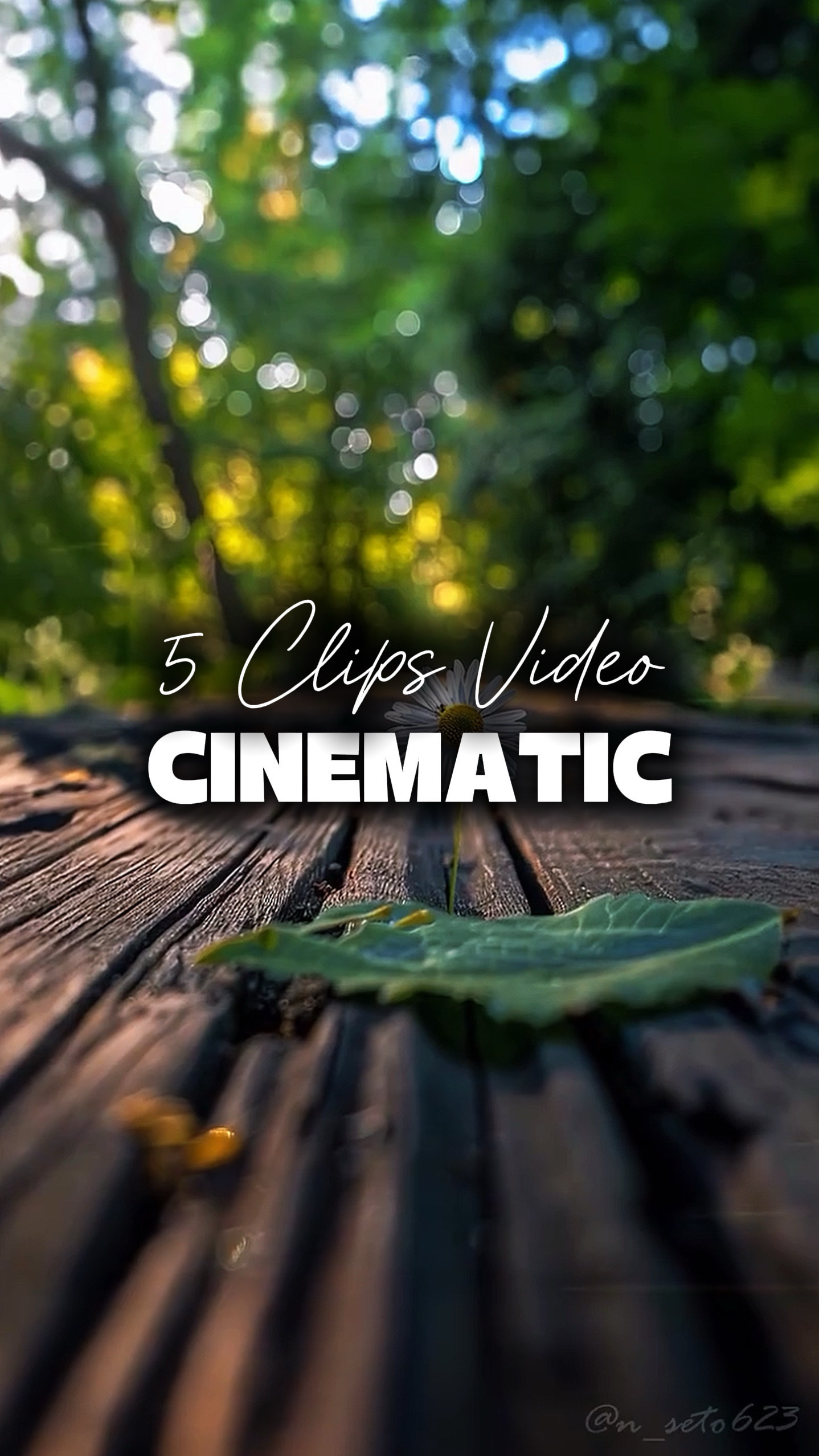 5 Videos Cinematic 