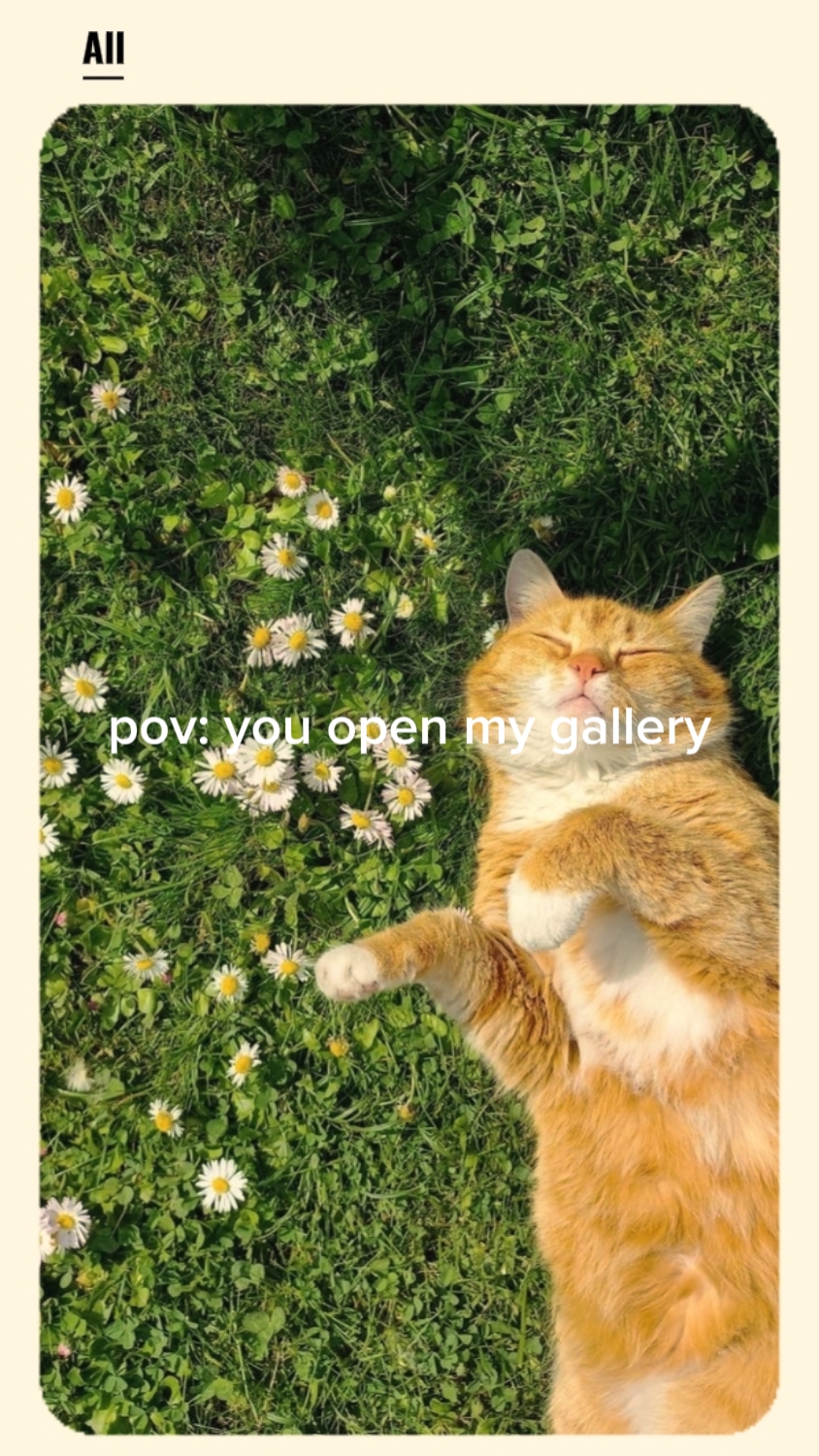 pov : tu ouvres mon fiel