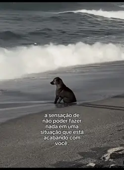 A sensação de…