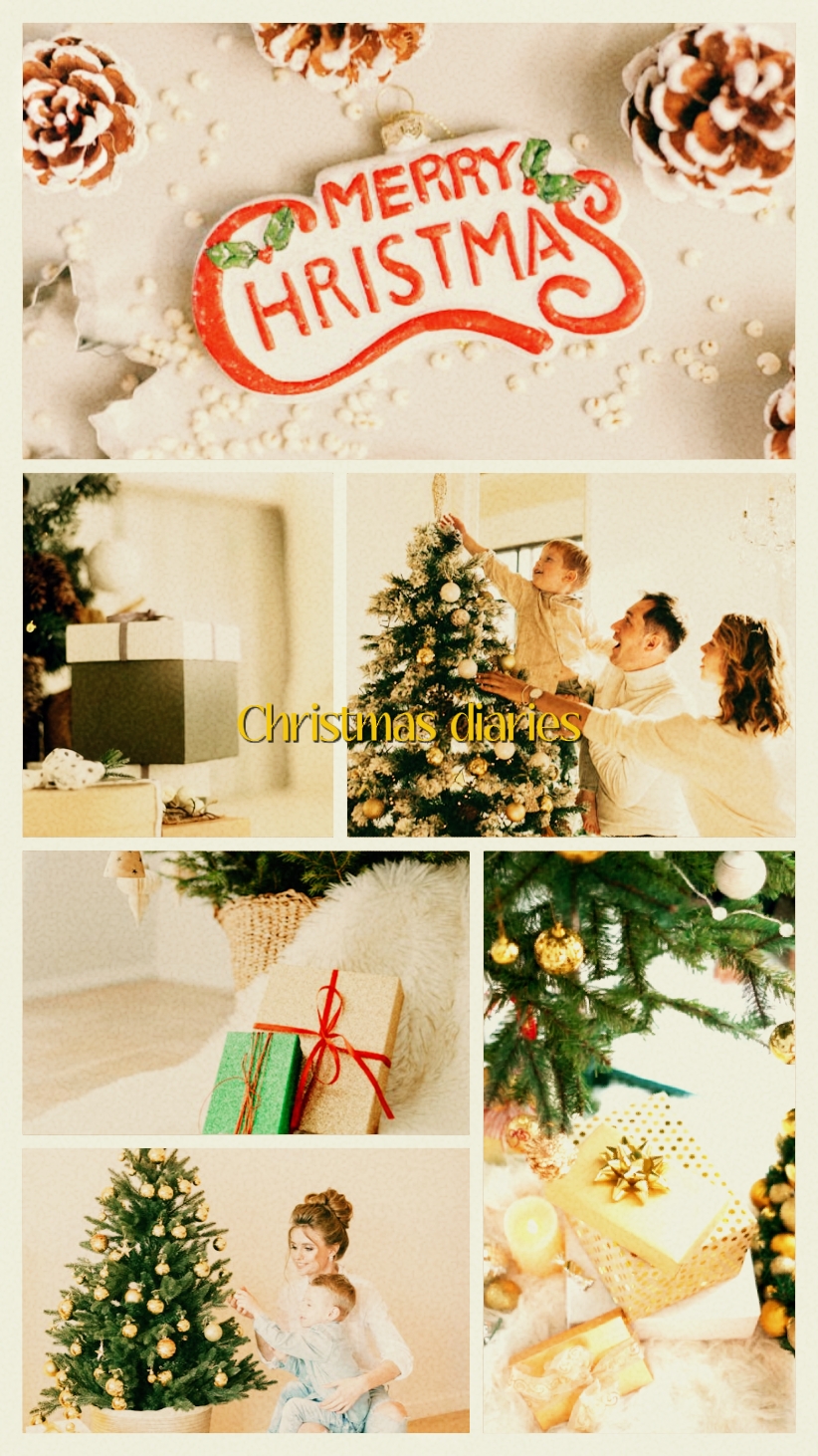 christmas diaries