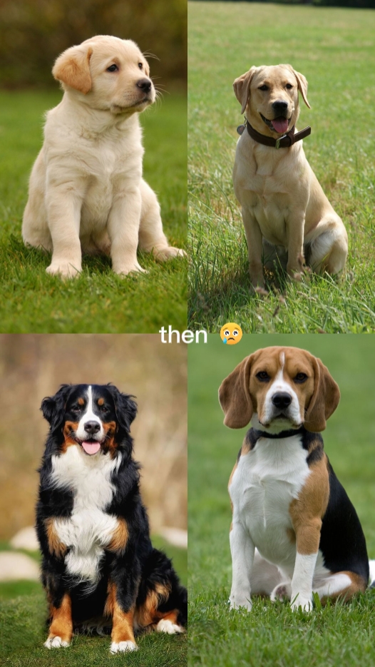 then and now