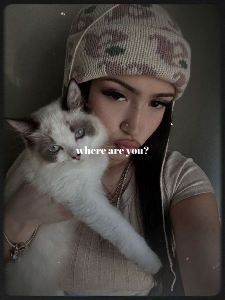 Moonlight 