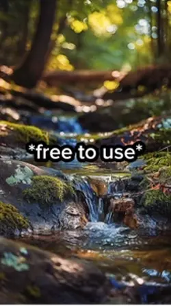 Free to use video 