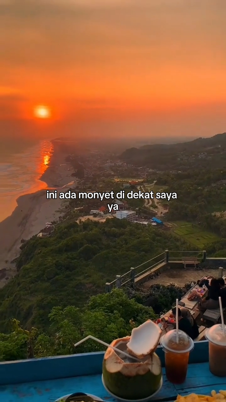 ini ada monyet didek