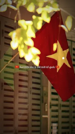 30/4 GIẢI PHÓNG MN