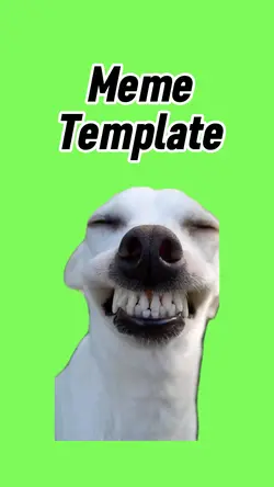 Smiling dog 