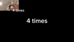 4 times