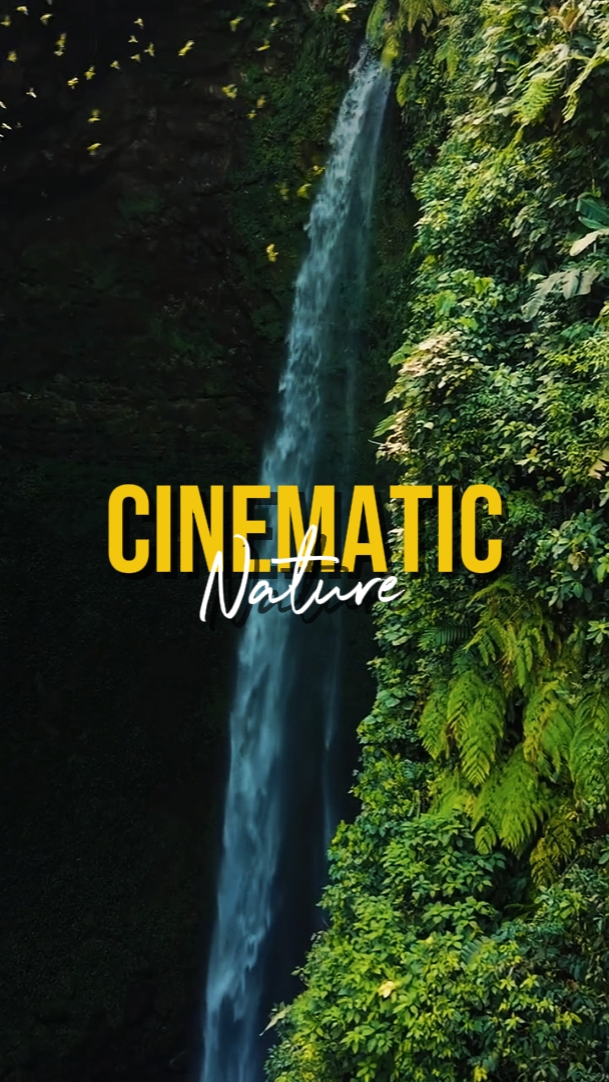 NATURALEZA CINEMÁTICA