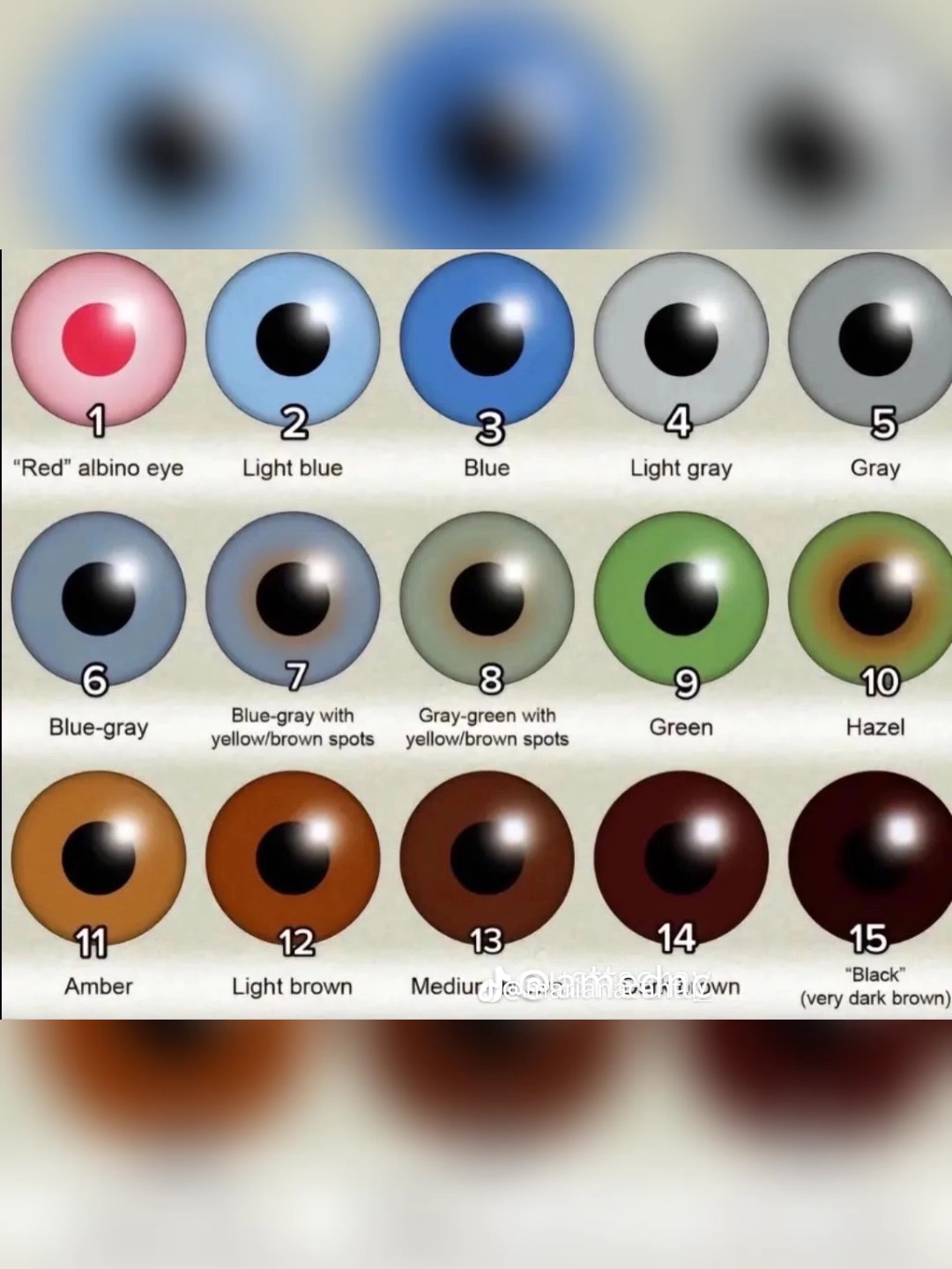 Color de tus ojos