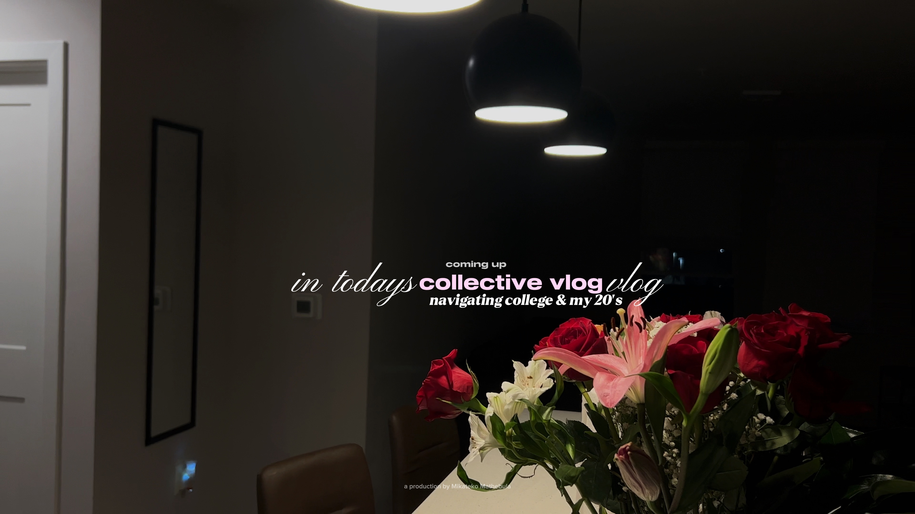 Aperçu du vlog YouTube