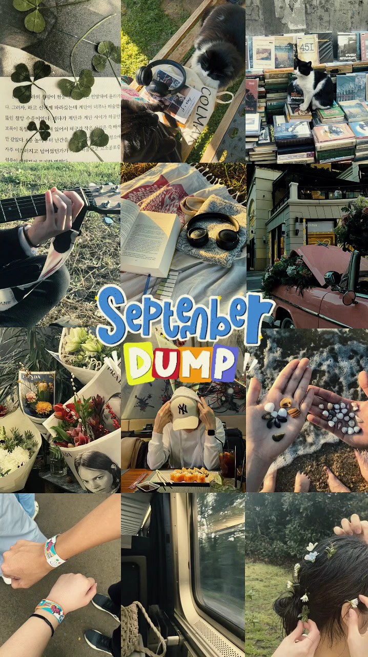 Volcado de septiembre