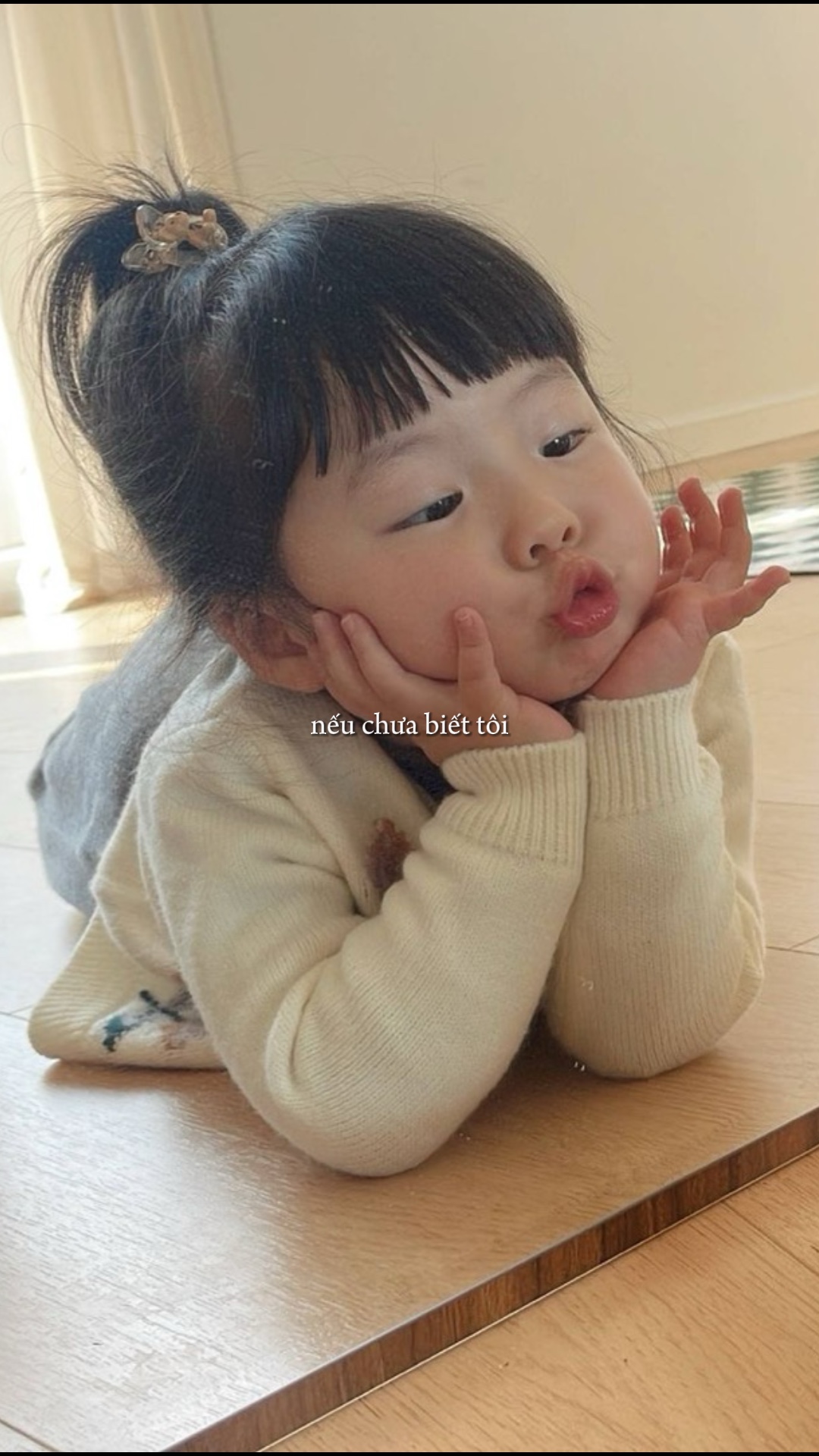 MẪU 1 PIC