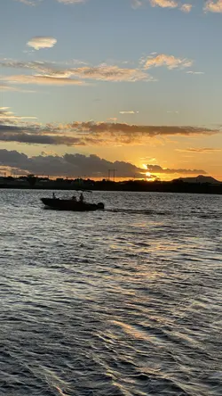 Paisagens 