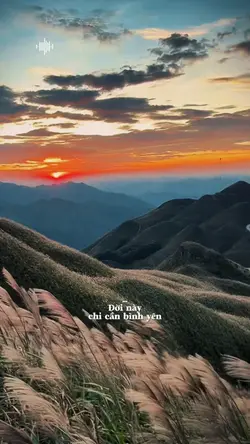 Đời này chỉ cần bình