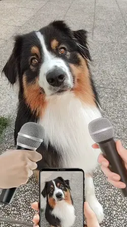 Ferragosto