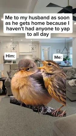 haven't had anyone 