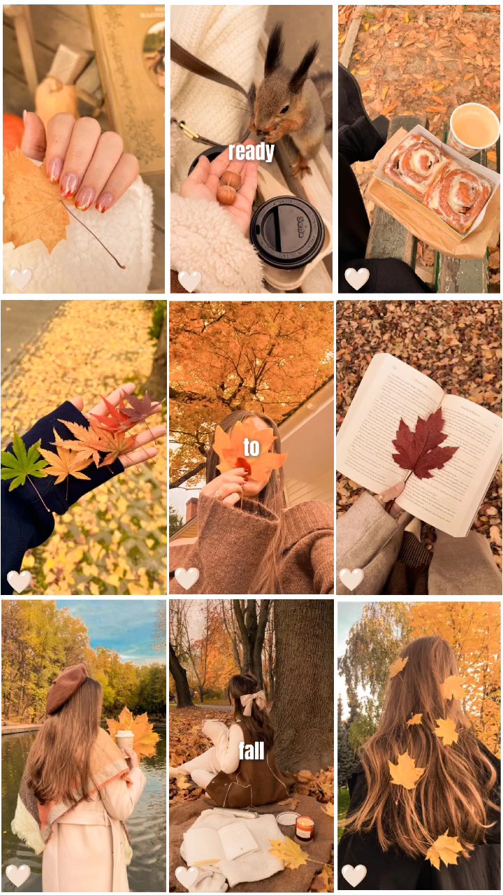 frame fall wallpaper
