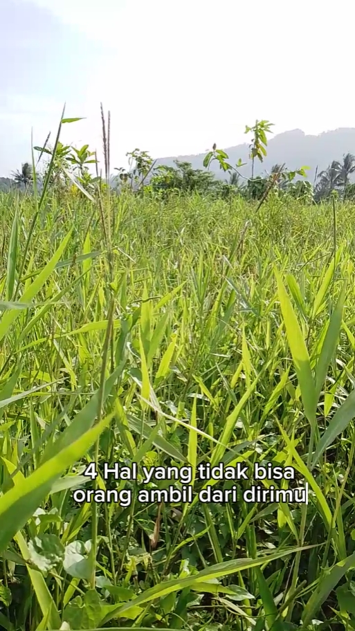 Salamkehidupan
