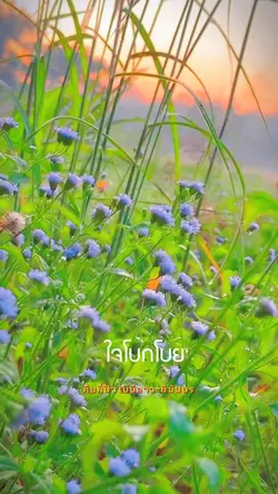 วิวสวย ธรรมชาติ 
