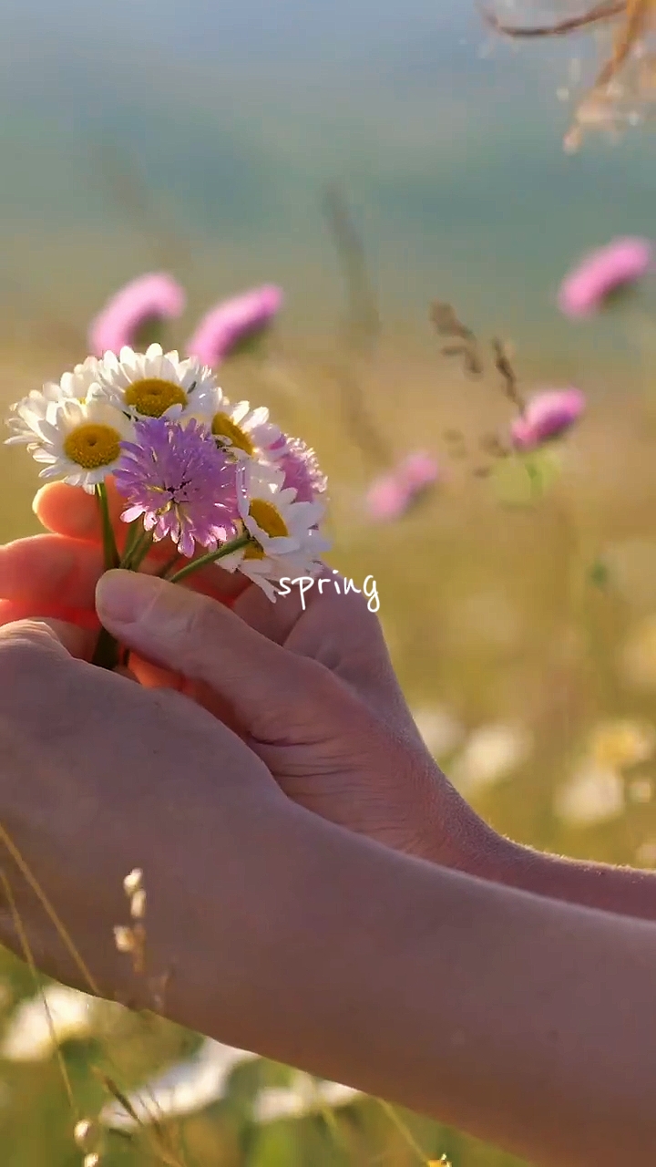Spring Bloom