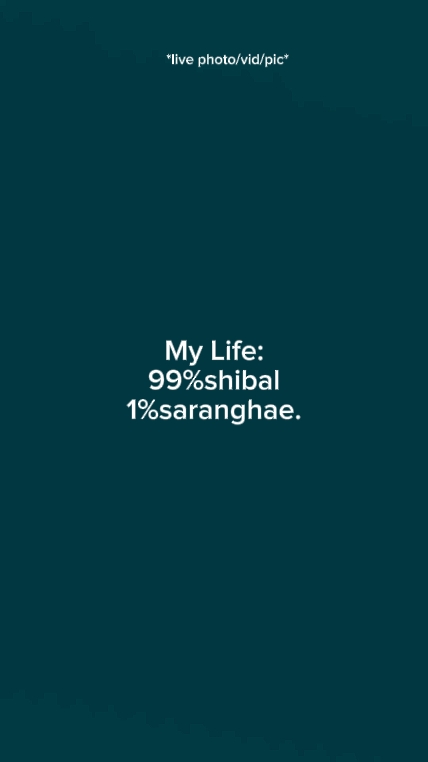 Minha vida99shibal