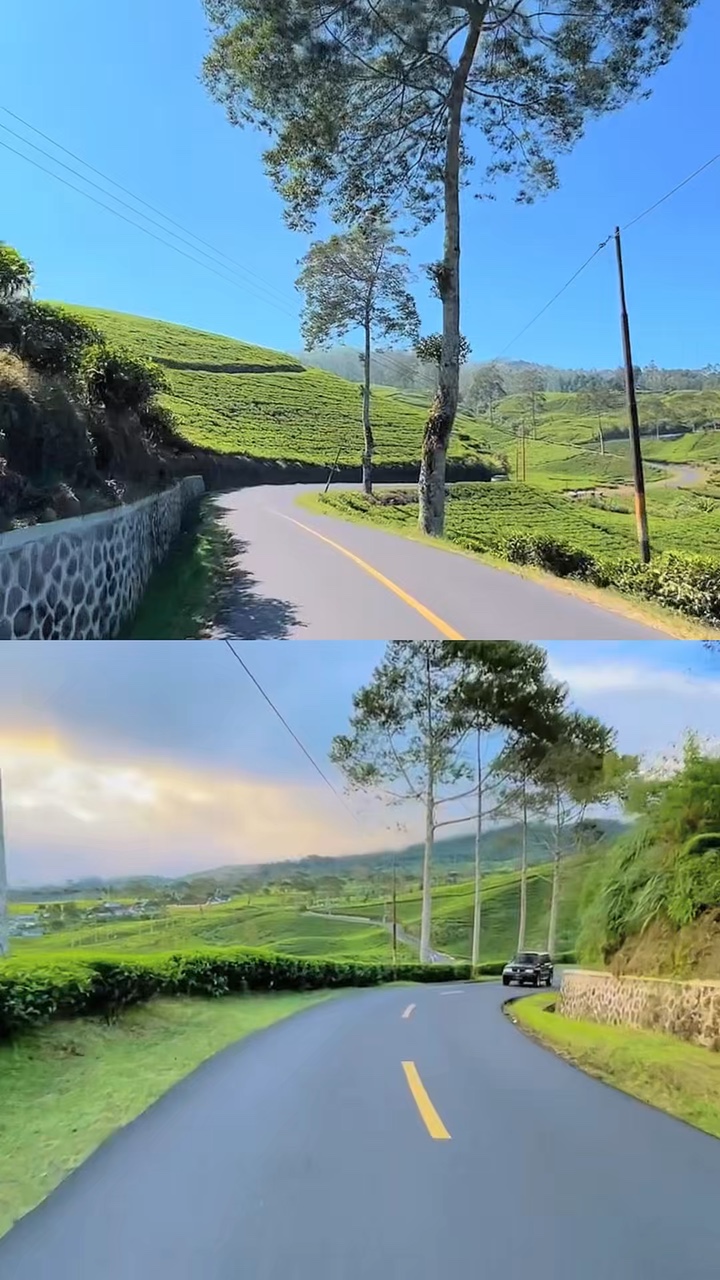1 düzen 2 video