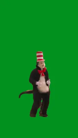 cat in the hat dannc