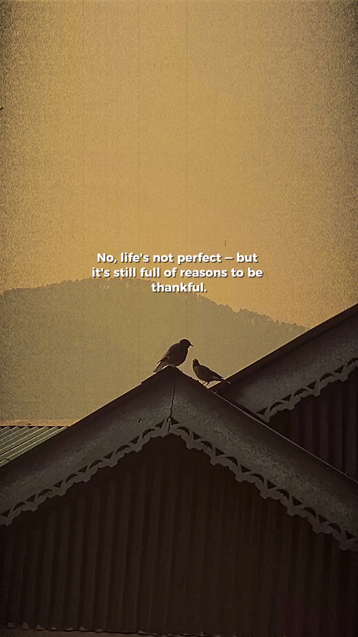 A vida não é perfeita 