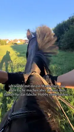 Wettrennen zur Eiche