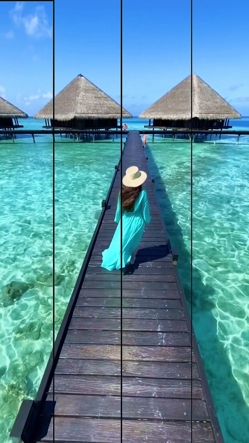 5 video o foto