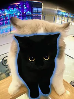 P P E P