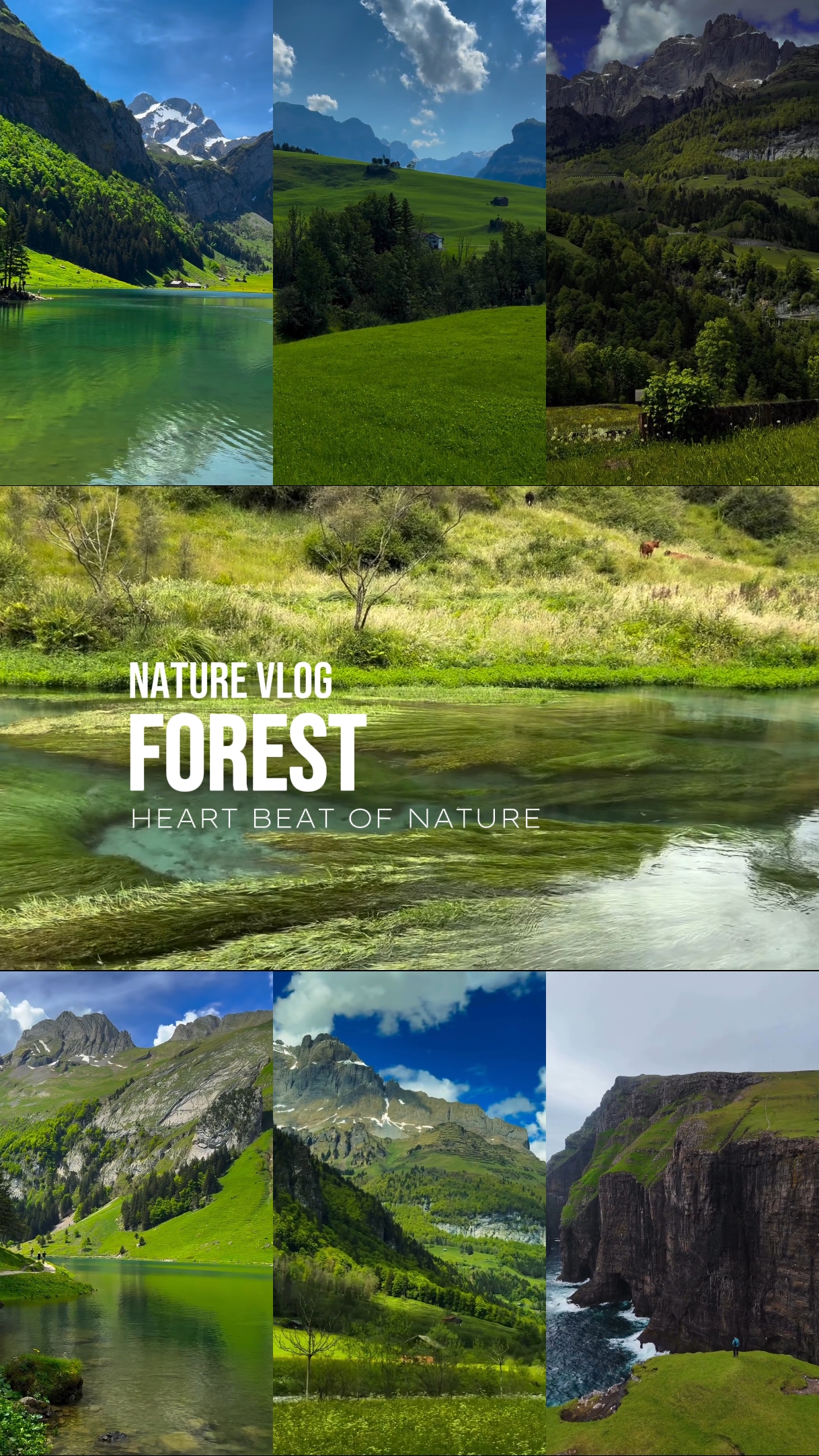 NATURE VLOG