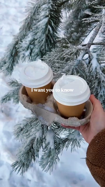 snowman lyrics