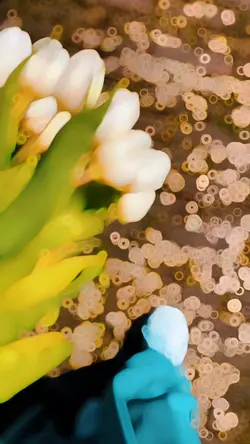 Slowmotion video π©΅β¨