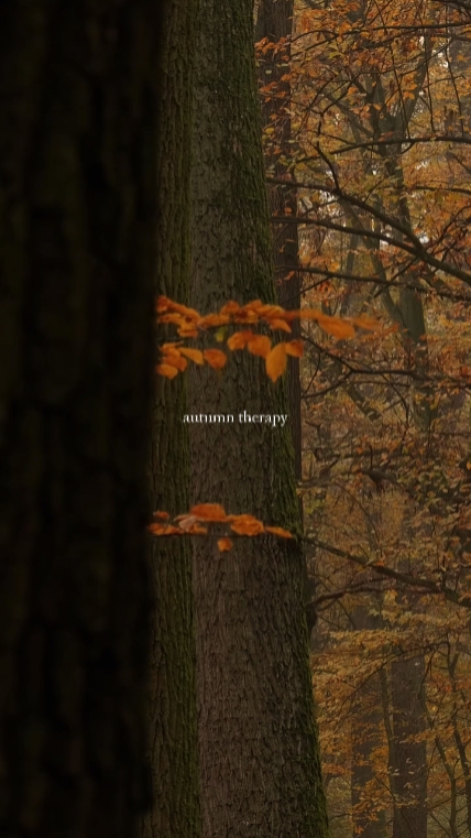 autumn therapy