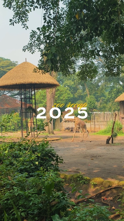 2025 zoo recap