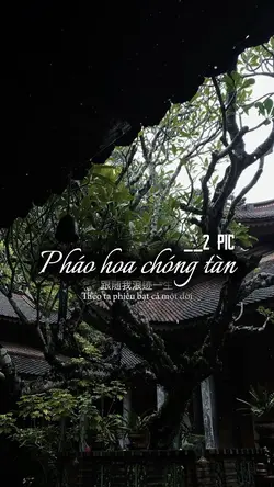 Pháo hoa chóng tàn