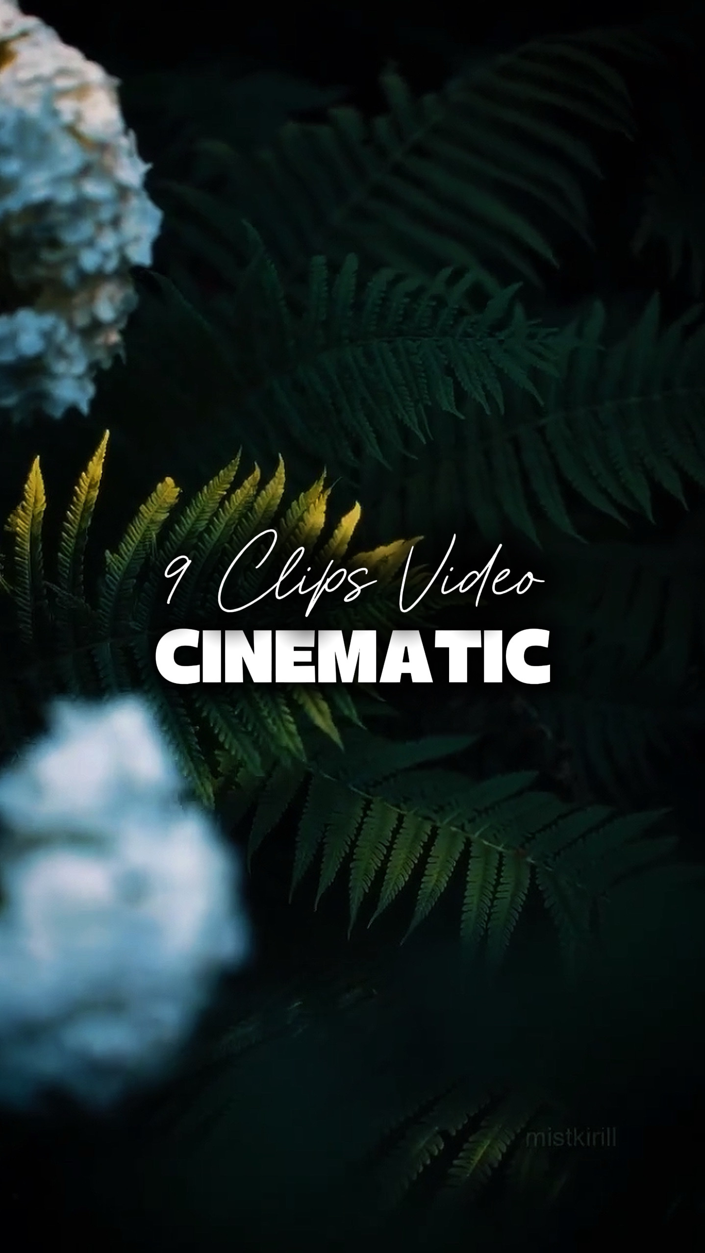 9 Videos Cinematic 