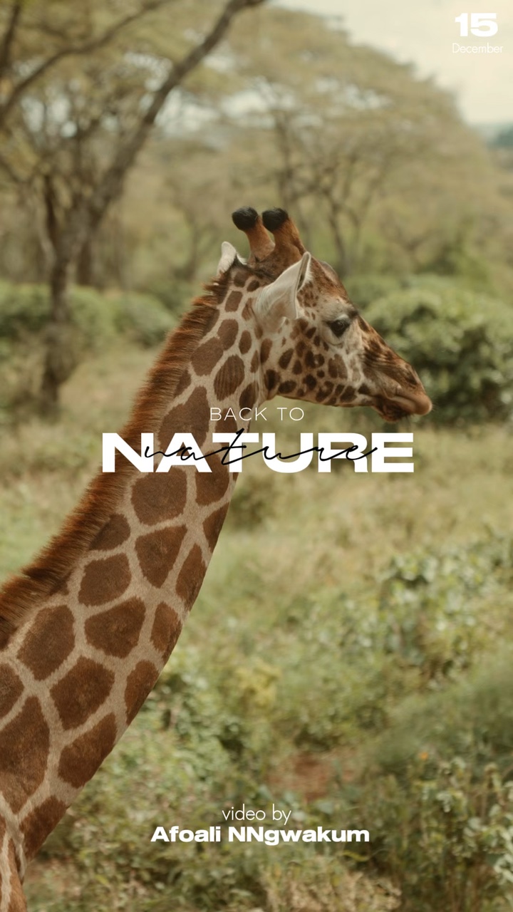 Vacances nature
